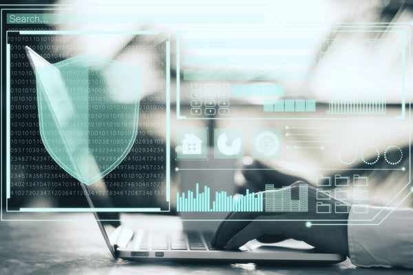 Cybersecurity & Risk Governance